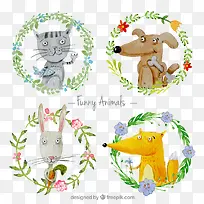 可爱动物-空若网 可爱动物-空若网