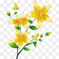 ����-������