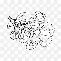 ���Ʊ߿�-������