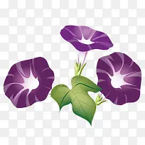 花纹-空若网 花纹-空若网