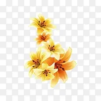 ����-������