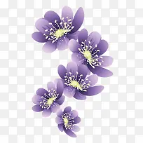 花纹-空若网 花纹-空若网