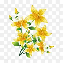 �Գƻ���-������