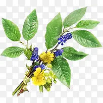 紫花树枝-空若网 紫花树枝-空若网