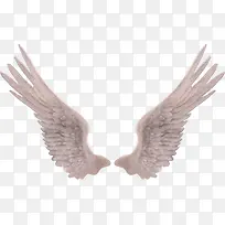 ������ɫ���PNG͸�������ز�-������