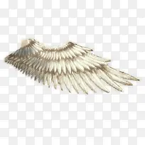 酷炫白色 单翅膀 PNG透明 背景素材-空若网 酷炫白色 单翅膀 PNG透明 背景素材-空若网