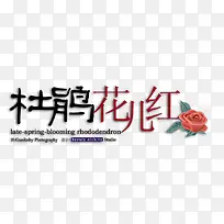 �����ز�-������