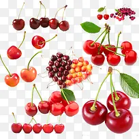 水果-空若网 水果-空若网