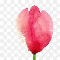 手绘粉色玫瑰插画素材-空若网 手绘粉色玫瑰插画素材-空若网