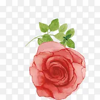 水彩玫瑰-空若网 水彩玫瑰-空若网
