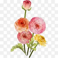 手绘粉色玫瑰创意插画-空若网 手绘粉色玫瑰创意插画-空若网