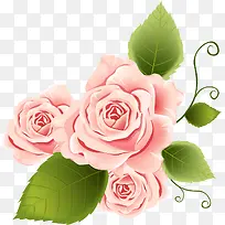 粉色玫瑰插画景观-空若网 粉色玫瑰插画景观-空若网