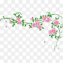 粉色玫瑰插画背景-空若网 粉色玫瑰插画背景-空若网