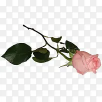 ·Ûɫõ¹åÉúÈÕÑç»á-¿ÕÈôÍø ·Ûɫõ¹åÉúÈÕÑç»á-¿ÕÈôÍø