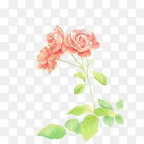 手绘玫瑰水彩画素材-空若网 手绘玫瑰水彩画素材-空若网