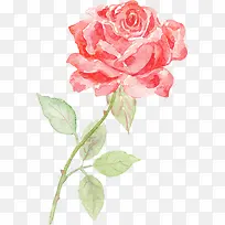 Ë®²Ê»¨¶äõ¹åÖ²Îï-¿ÕÈôÍø Ë®²Ê»¨¶äõ¹åÖ²Îï-¿ÕÈôÍø