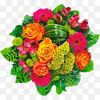 彩色时尚玫瑰花朵植物-空若网 彩色时尚玫瑰花朵植物-空若网