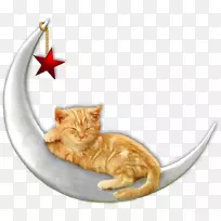 Friendster博客hi5-Сroissant-空若网 Friendster博客hi5-Сroissant-空若网