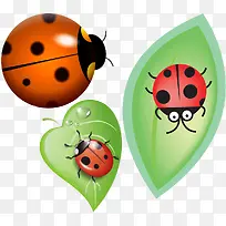 ����ư��-������