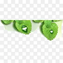 ������Ӱ��ɫֲ��ˮ��-������