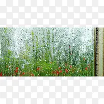 ����ˮ�鱳��-������