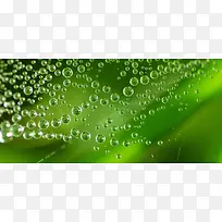 ˮ����Ӱ����-������