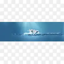 爱情梦幻水珠花朵背景banner-空若网 爱情梦幻水珠花朵背景banner-空若网