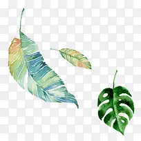 �ֻ���Ҷ-������