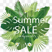 ��ɫ��Ҷ���մ���-������