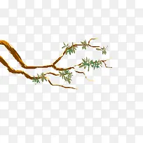 手绘数枝-空若网 手绘数枝-空若网