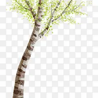 Ê÷-¿ÕÈôÍø Ê÷-¿ÕÈôÍø