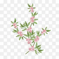 Ʈ����Ҷ-������