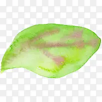 ��Ҷ�����ز�-������