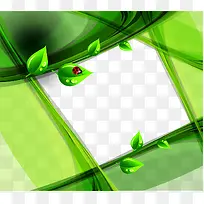 ��Ҷ�߿�-������