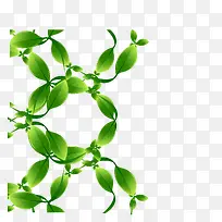 矢量质感绿色树叶边框素材-空若网 矢量质感绿色树叶边框素材-空若网