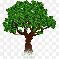 绿色植物树叶大树-空若网 绿色植物树叶大树-空若网