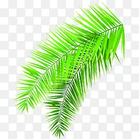 摄影手绘树叶绿色-空若网 摄影手绘树叶绿色-空若网