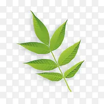 ʸ��һƬ��Ҷ-������