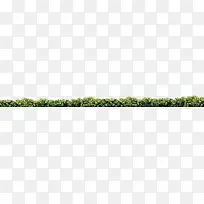 ������Ӱ����������ɫ��Ҷ-������