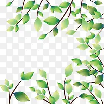 ��֦��Ҷװ���ز�-������