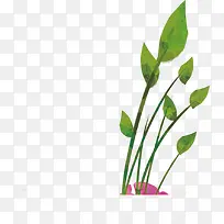 高清摄影手绘绿色植物树叶-空若网 高清摄影手绘绿色植物树叶-空若网