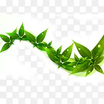 绿色时尚创意树叶手绘-空若网 绿色时尚创意树叶手绘-空若网