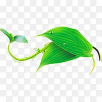 绿色时尚春天树叶花藤-空若网 绿色时尚春天树叶花藤-空若网