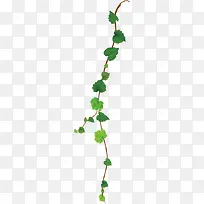 绿色卡通水彩树叶-空若网 绿色卡通水彩树叶-空若网