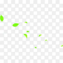 ������Ӱ�������ɫ��Ҷ-������