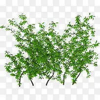 ����-������