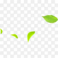 ������Ӱ��ɫ��ҶƯ��-������