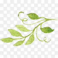 高清摄影手绘绿色树叶-空若网 高清摄影手绘绿色树叶-空若网