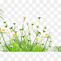 高清摄影手绘矢量绿色树叶-空若网 高清摄影手绘矢量绿色树叶-空若网