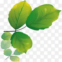 绿色时尚卡通树叶-空若网 绿色时尚卡通树叶-空若网
